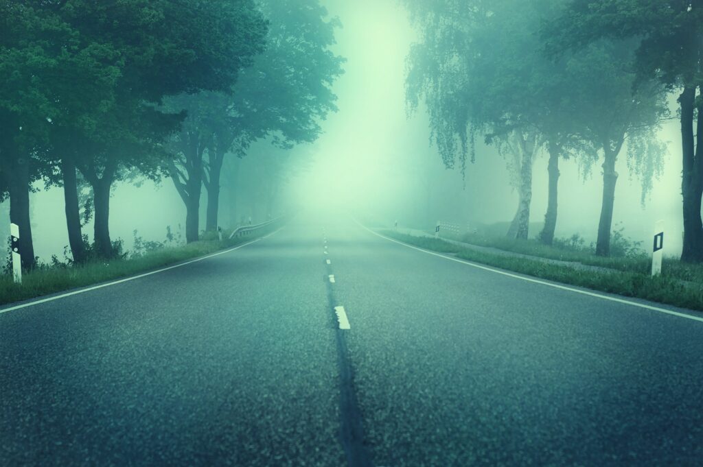 A haunting lonely road with beautiful trees on both sides and mist in the air... 